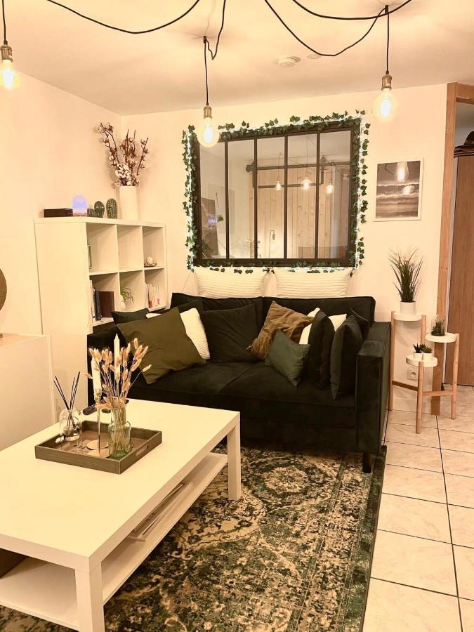 Petit Cocon Au Cœur D'annecy Appartement Annecy