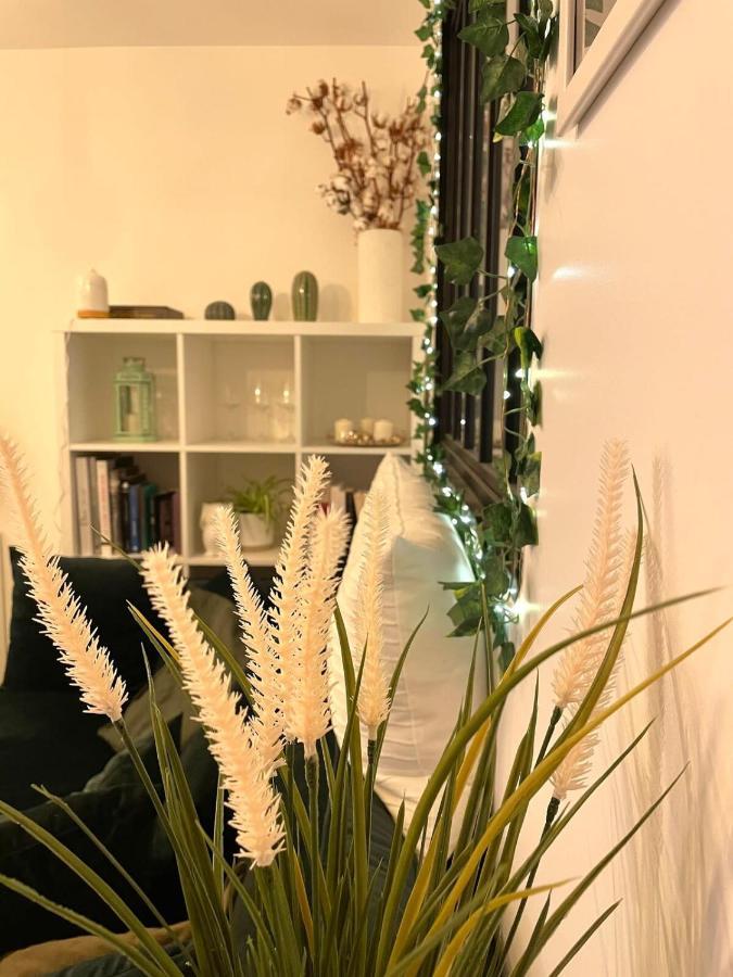 Appartement Petit Cocon Au Cœur D'annecy Annecy