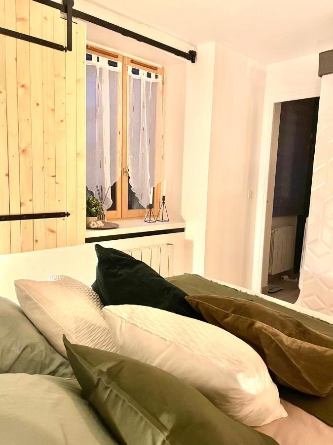 Petit Cocon Au Cœur D'annecy Appartement *